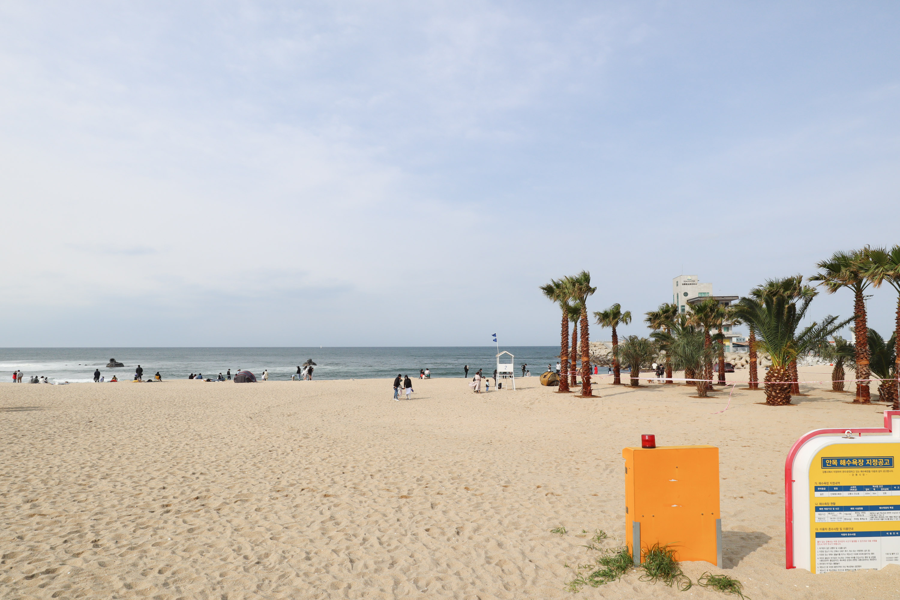 강릉 강릉 안목해변 5월 가족여행 가볼만한곳 | Stay Pick Korea